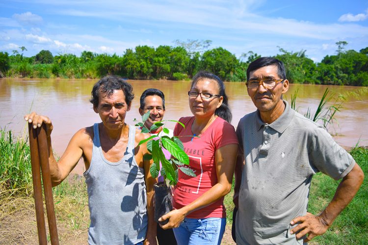 San Martín – Recuperando nuestro bosque