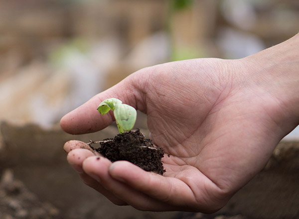 MOCICC - Movimiento Ciudadano frente al Cambio Climático
