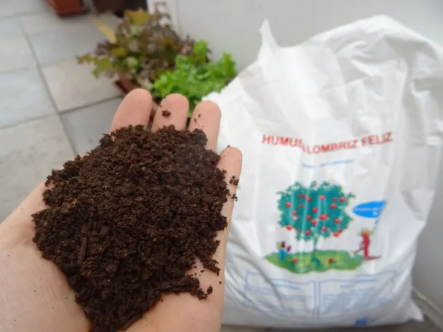 Lima: La basura como recurso económico