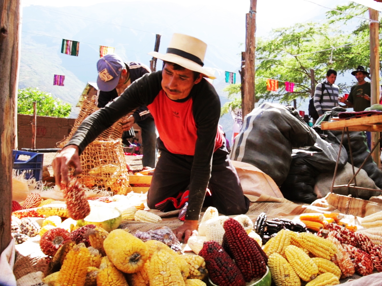 La agricultura, sector desfavorecido, sostiene al Perú en medio de la pandemia y la crisis