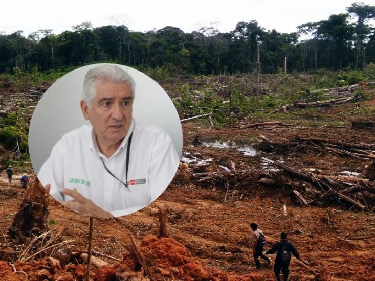 Organizaciones demandan institucionalidad en SERFOR