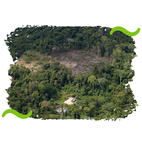 Compromisos climáticos