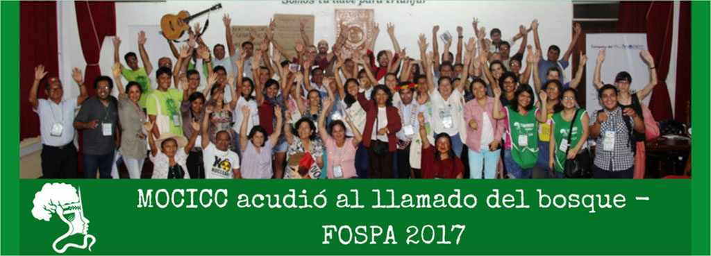 #FOSPA2017: Síntesis de la mesa sobre cambio climático y Amazonía