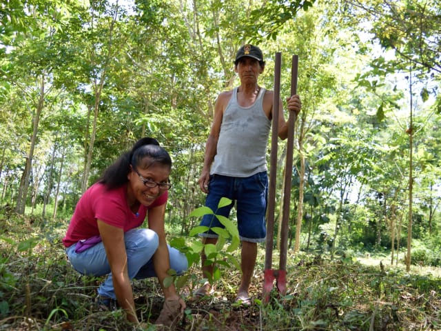 San Martín: Recuperando nuestro bosque