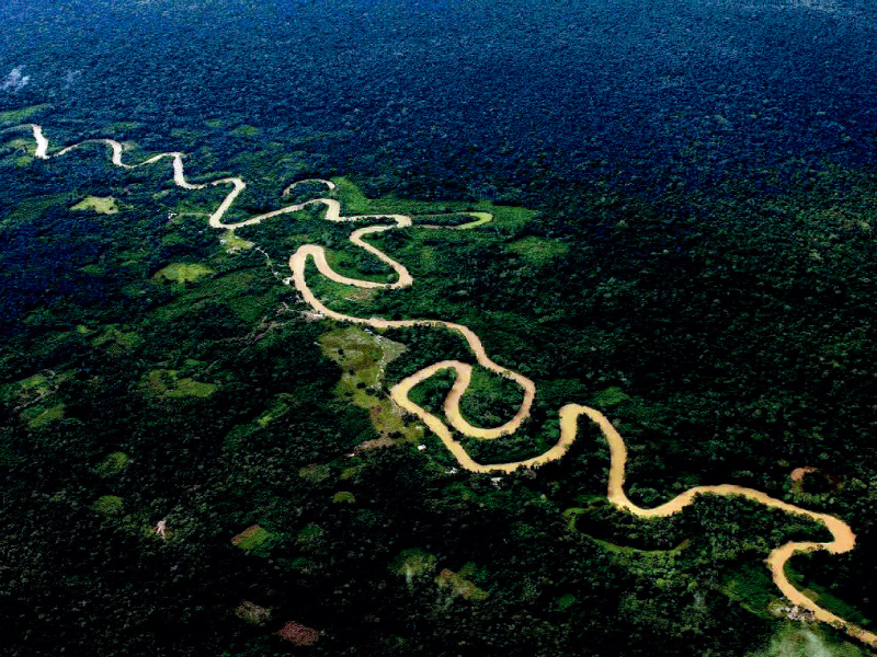 Acciones frente al Cambio climático que no pueden esperar en la Amazonía peruana