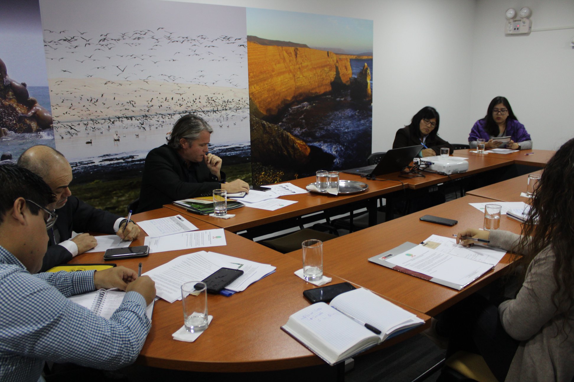 Grupo Perú ambiente y Clima se reúne con viceministro del Ambiente con miras a las COP25