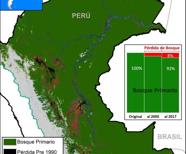 Incendios forestales no son el único problema de la Amazonía peruana