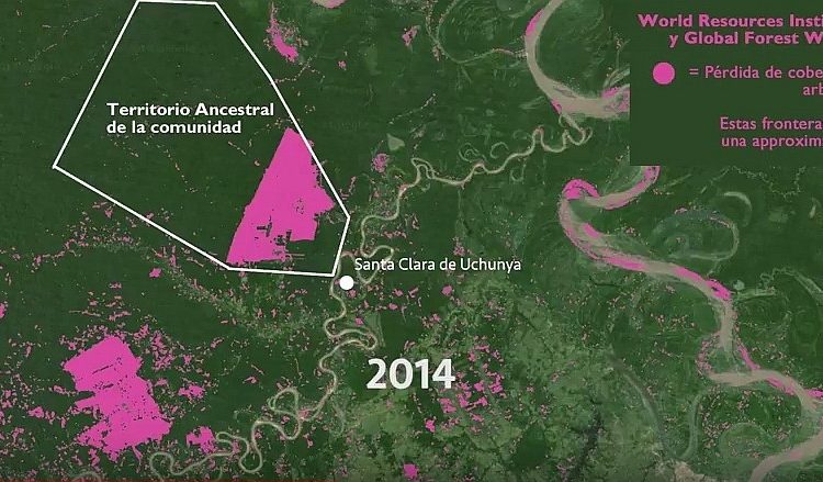 Amazonía en tribunales: Pueblos indígenas defienden sus derechos ante TC y en audiencias de CIDH