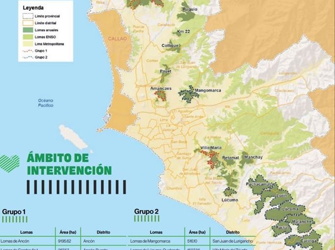 VMT: Invasión e inacción en Sistema de Lomas de Lima