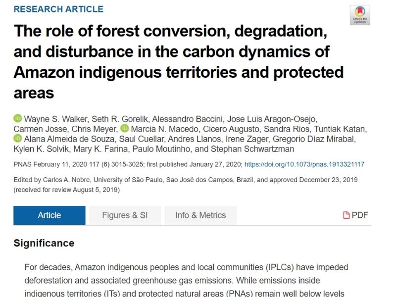 6 estudios imperdibles sobre Amazonía que nos dejó el 2020 (+BONUS)