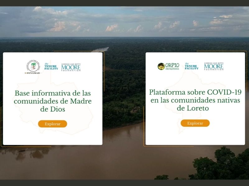 6 estudios imperdibles sobre Amazonía que nos dejó el 2020 (+BONUS)