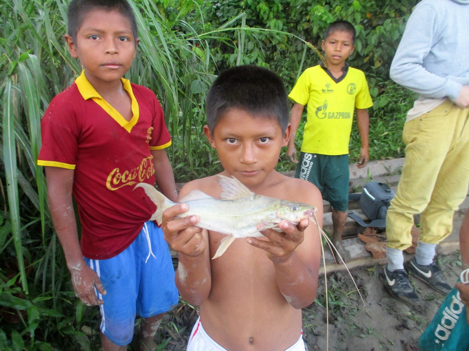 Amazonas: Como el pueblo awajún defiende la Amazonía