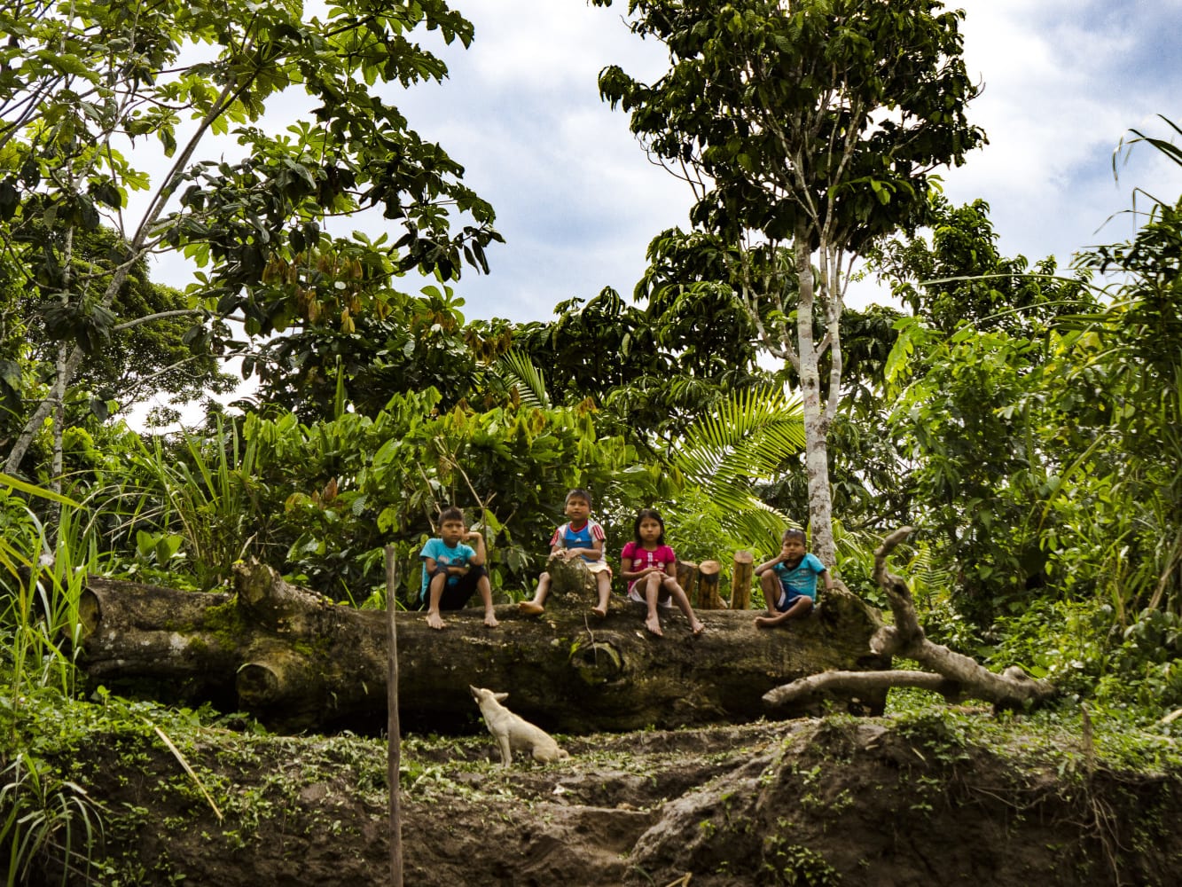 Amazonas: Como el pueblo awajún defiende la Amazonía
