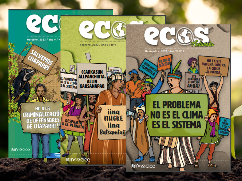 Convocatoria para mujeres y diversidades- revista ambiental ECOS