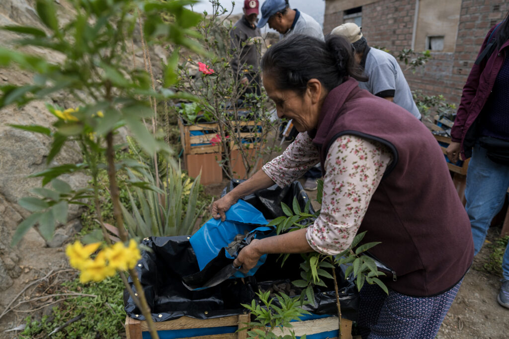 El impacto de los huertos comunitarios